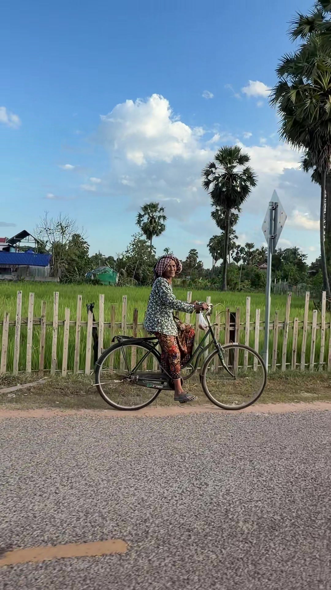 @កូនចាបមាស