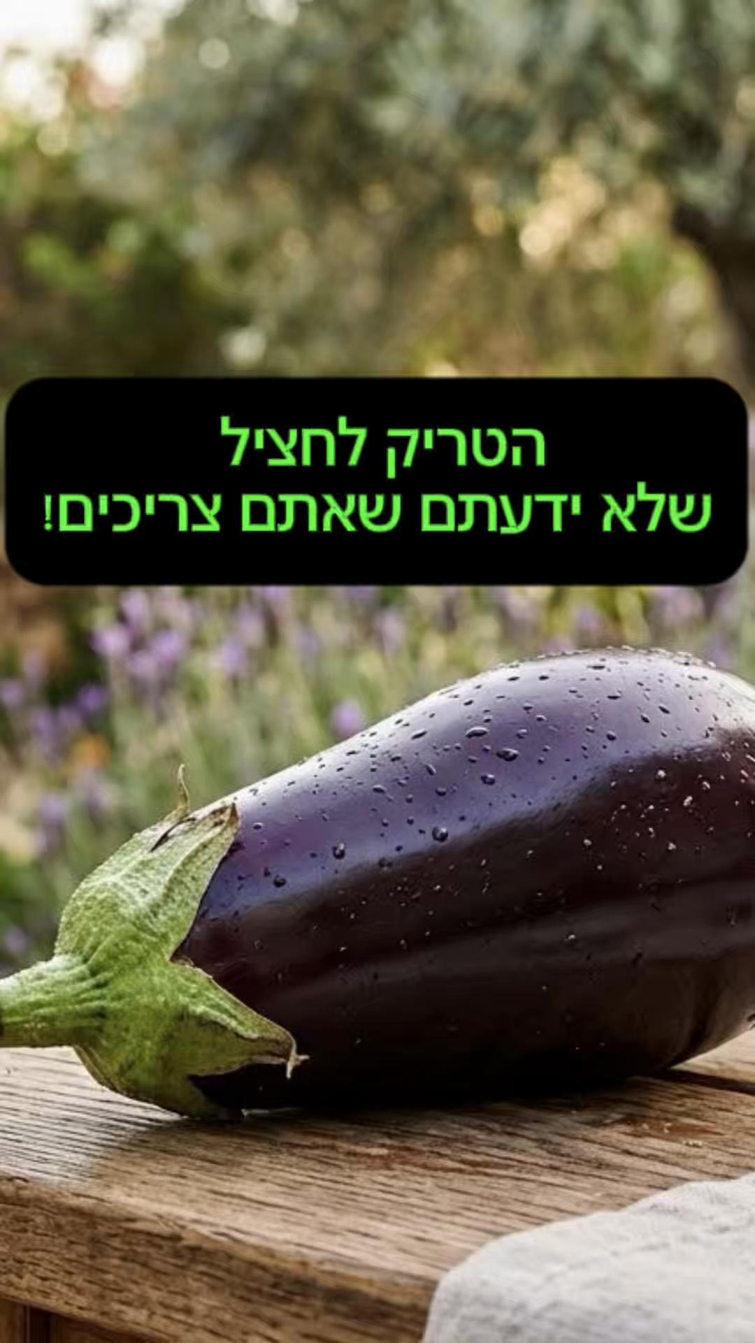 @השף העצבני  ווא ווא ווי ווא