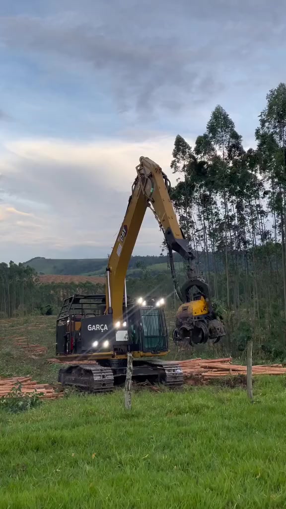 @🌲MAIKY_ROMÃO🌲