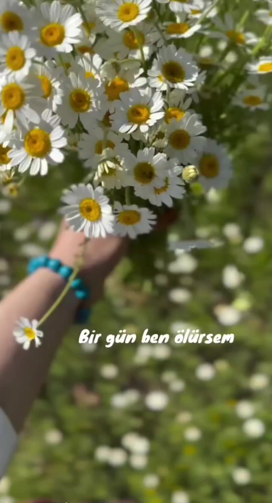 @ᎮᏋᏒᎥ🧚♀️