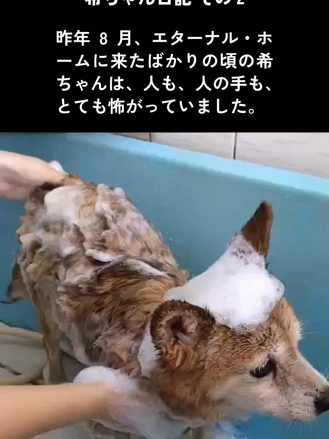 @NPO法人エターナル・ホーム