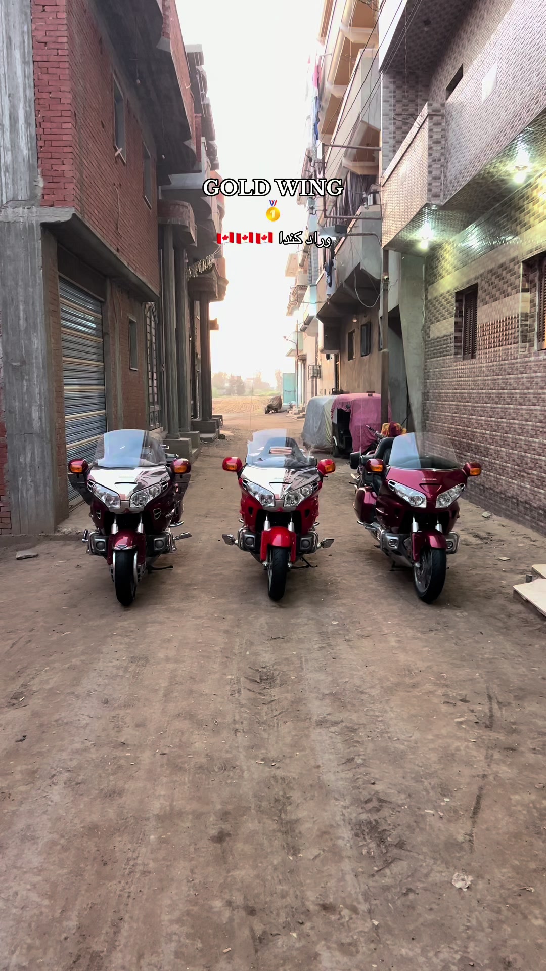 @﮼موسي﮼🦅🇪🇬
