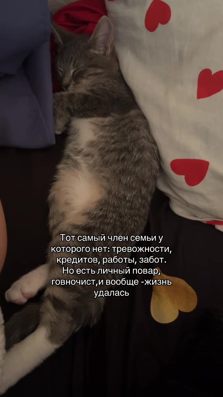 @ggzzyy0