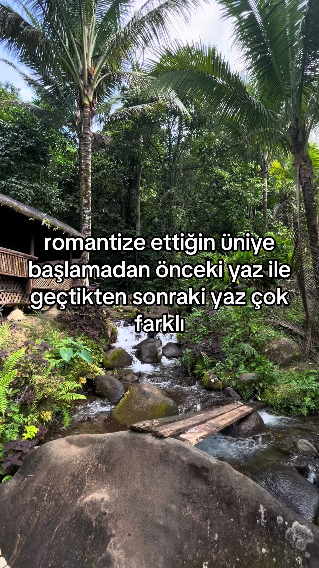 @malatya44kayisisi