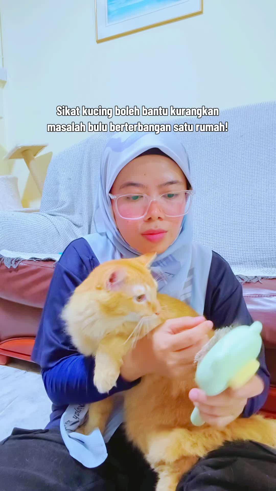 @Walin Fat Cat