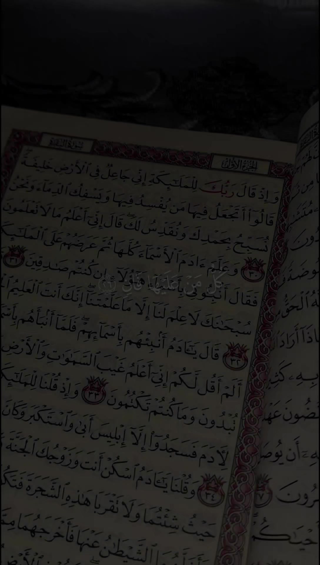 @قــــــرآن || 𝐐𝐮𝐫𝐚𝐧 ✓