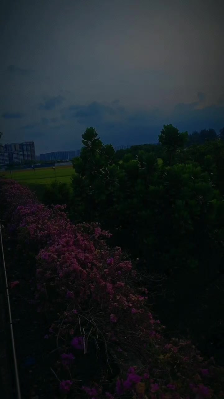 @bishnumayathapa64