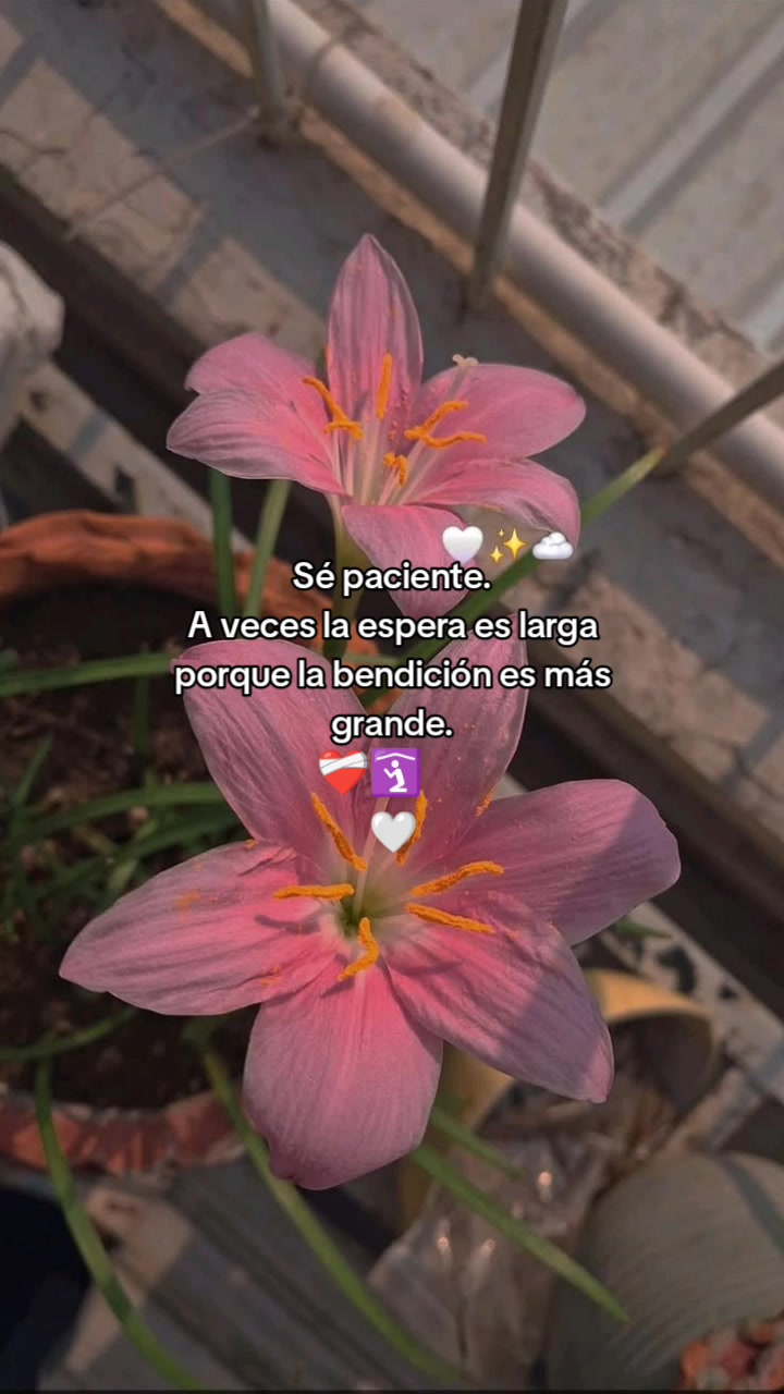 @🌜Ely Holguin ⚡