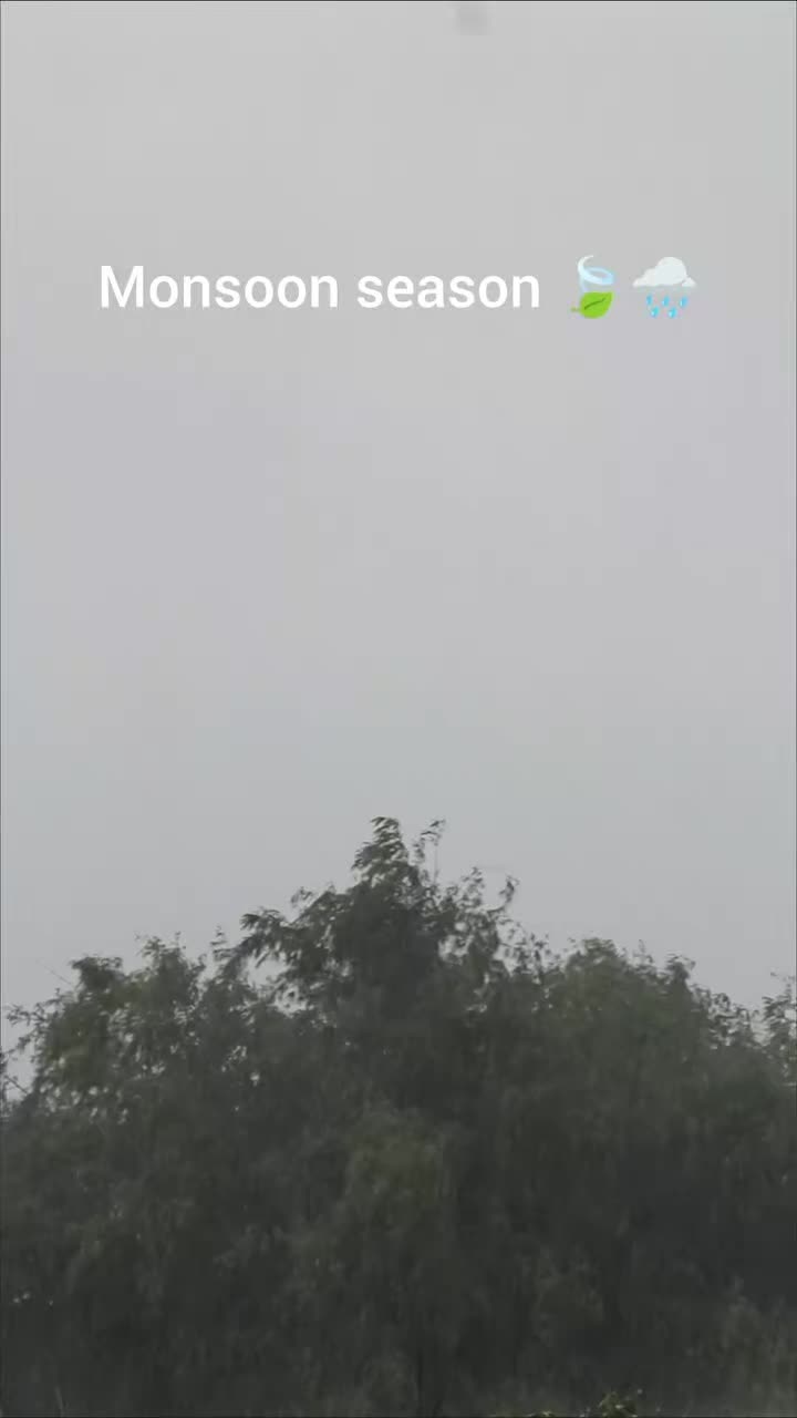 @๐ปô๐ฟ๐๐ ๐ฉàà๐ฎ๐î๐ฉ