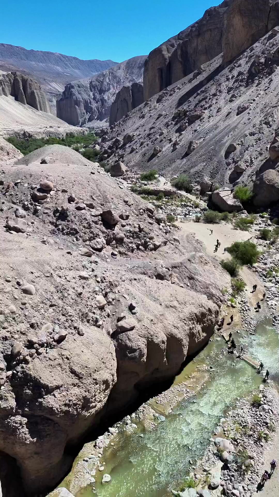 @Arica es Bac&aacute;n