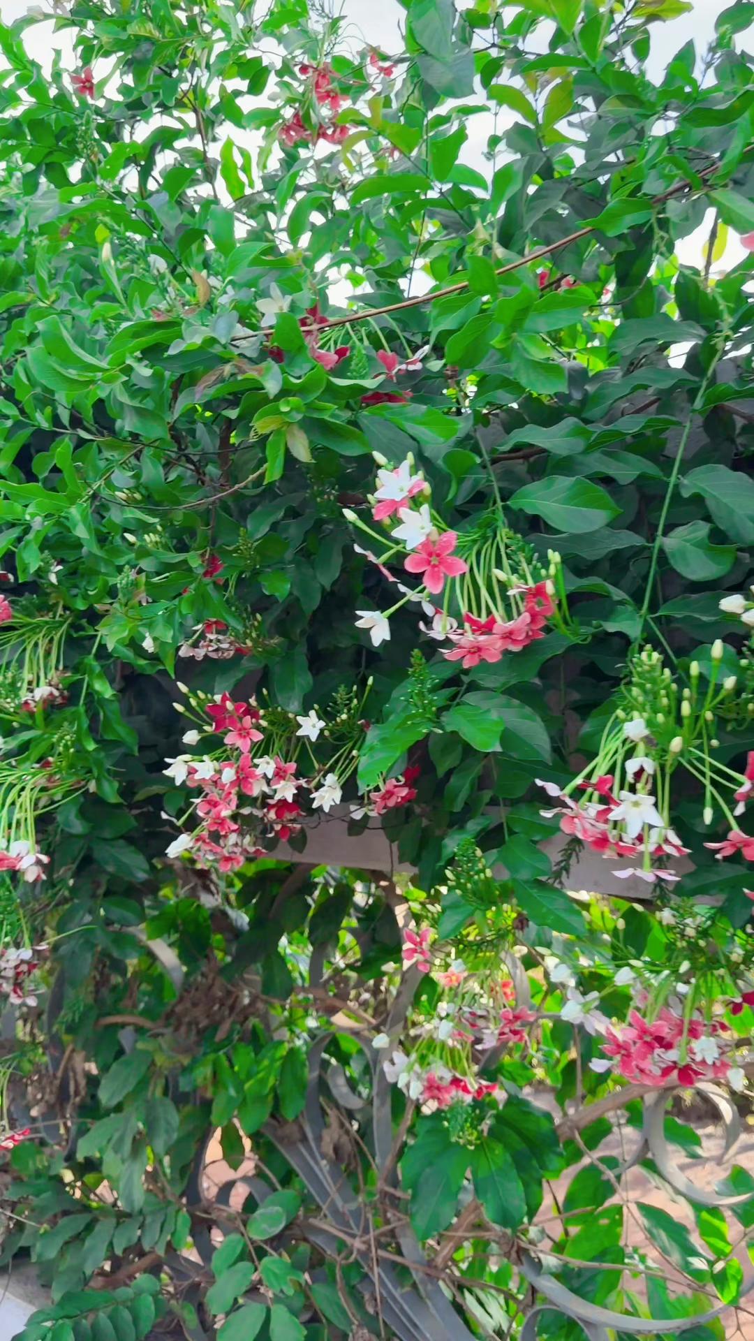 @Diệu Hiền