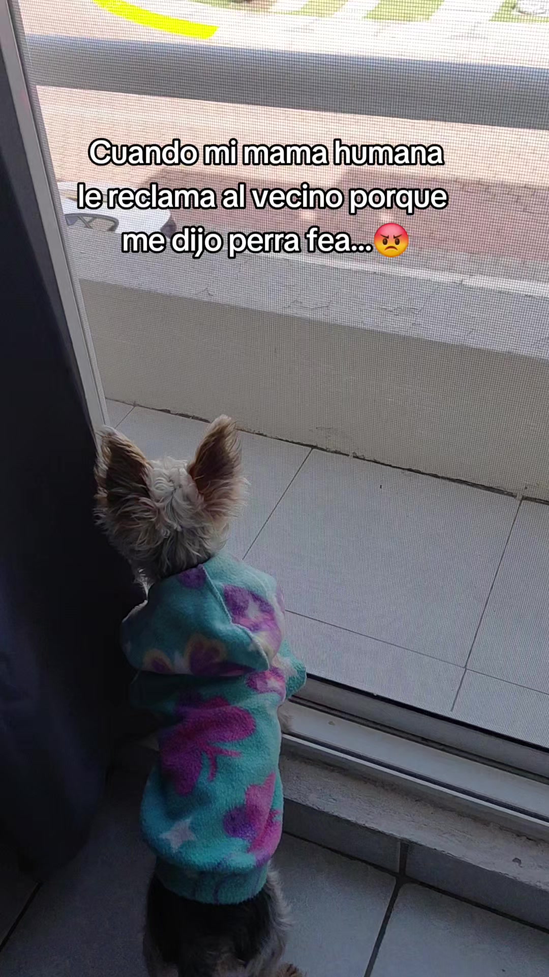 @Maria Minerva Sarabi