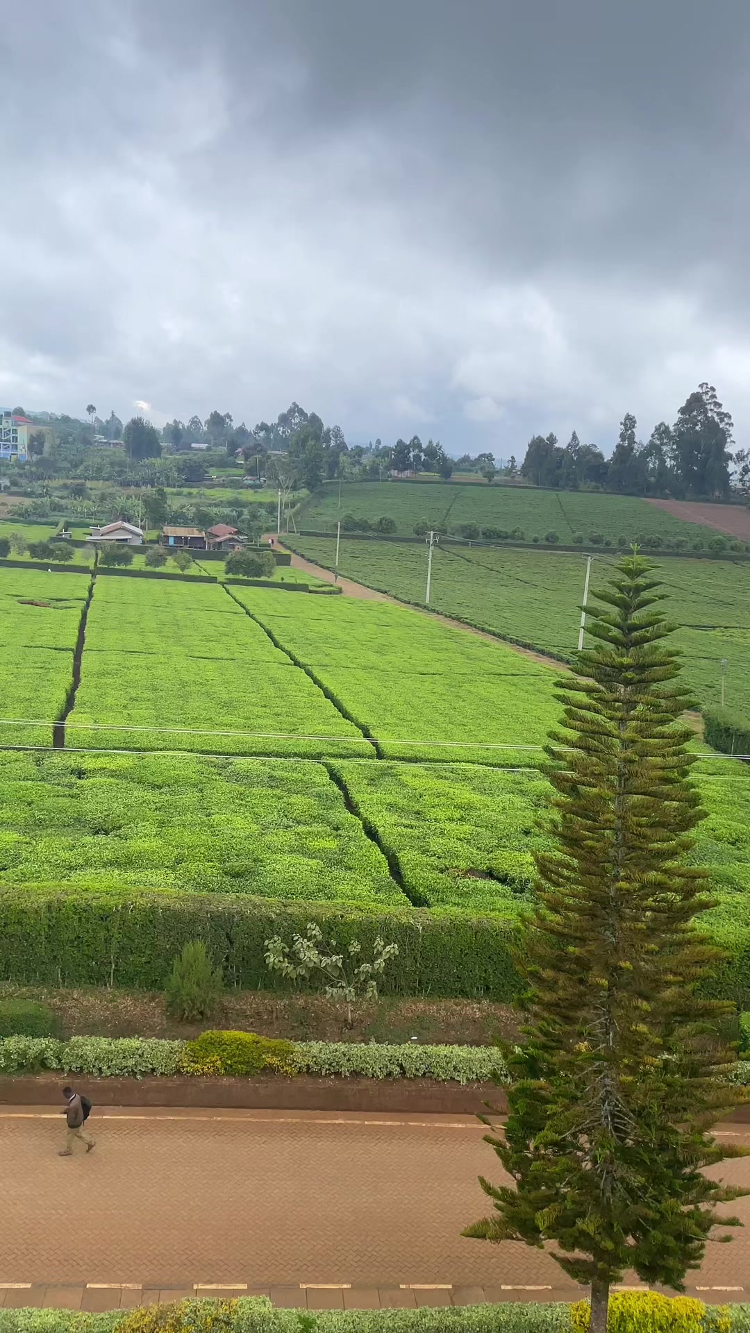@israndas muigai🇰🇪