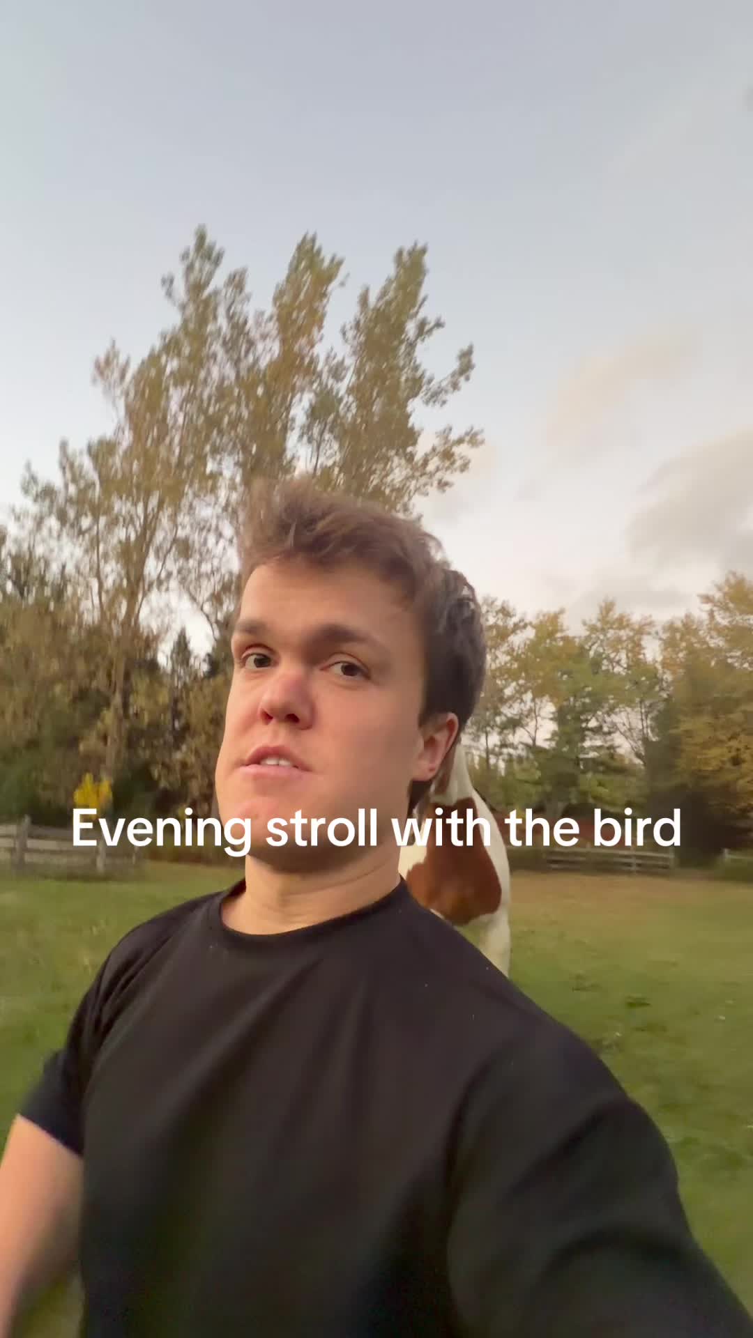 @John Ferguson