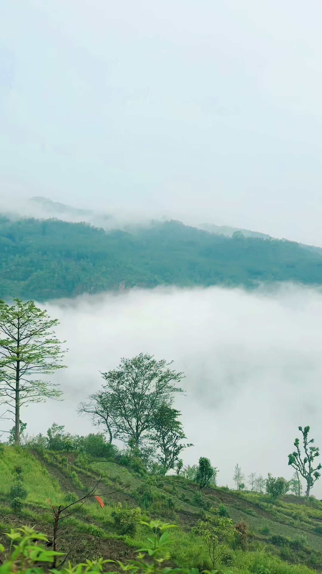 @Himal Thapa Magar