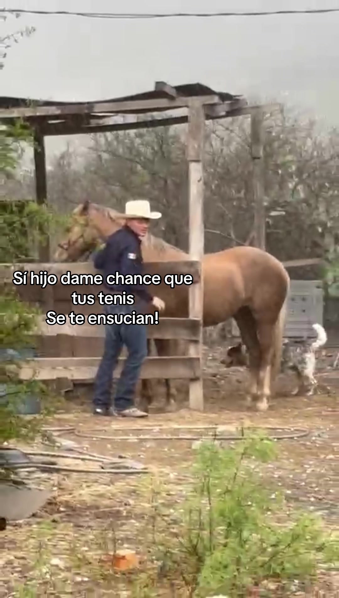 @El Wero Garc&iacute;a🤠🇲🇽