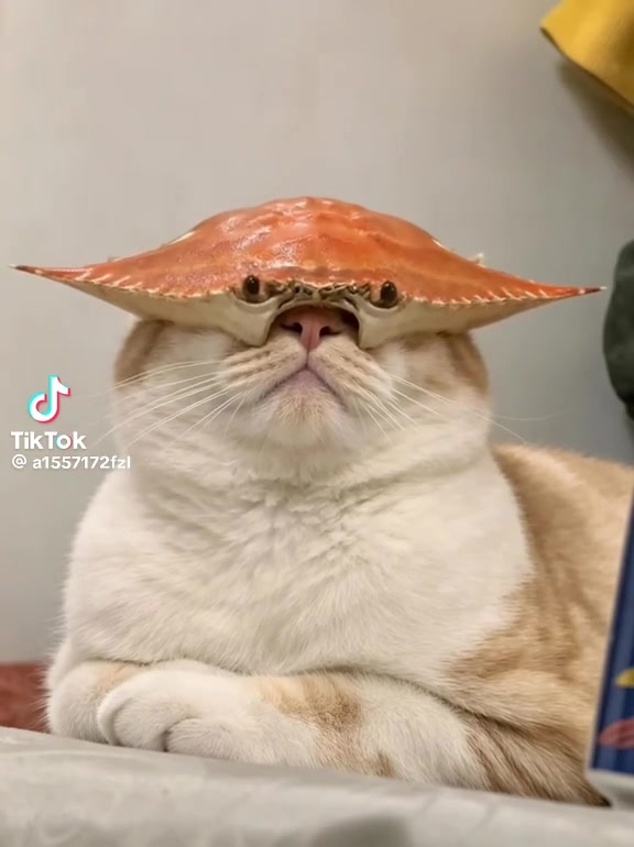@とも