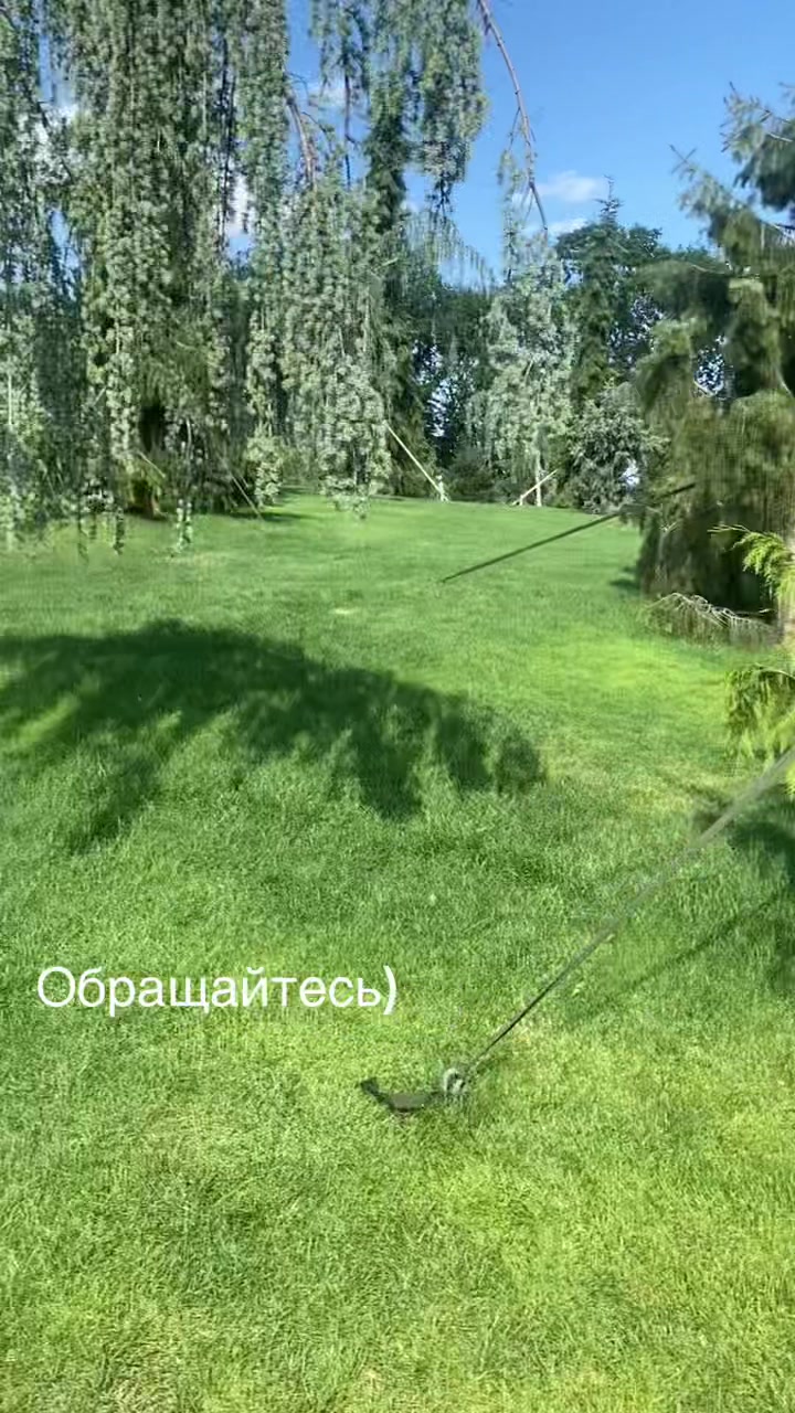@Ольга