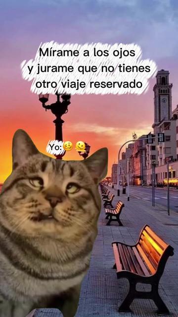 @sandra