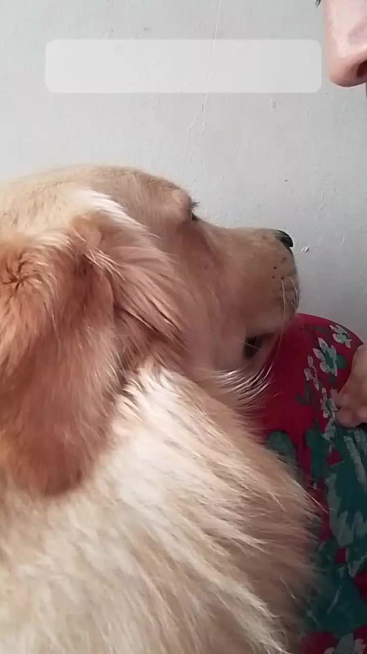@kallen_villar e max o golden