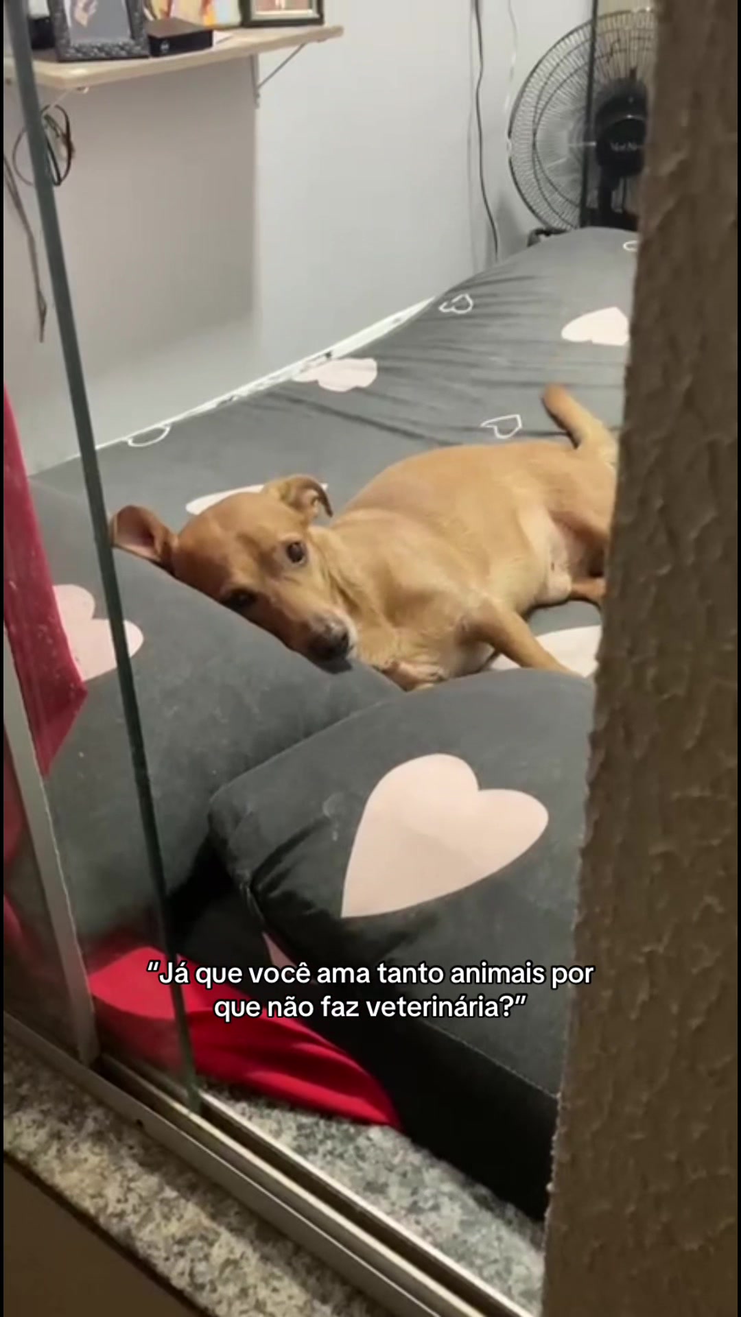 @Hellen Rodriguês