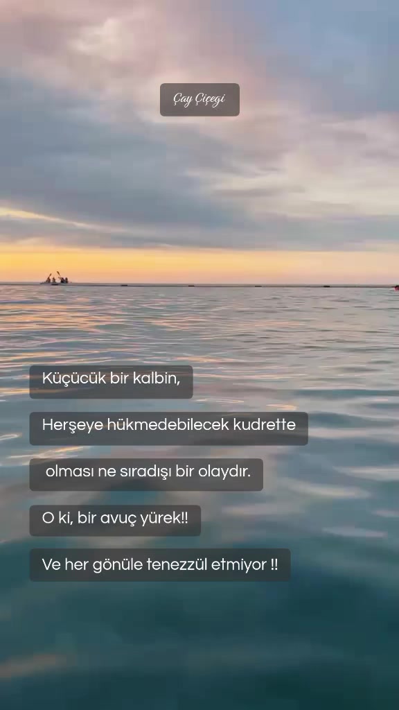 @Çay çiçeği-53