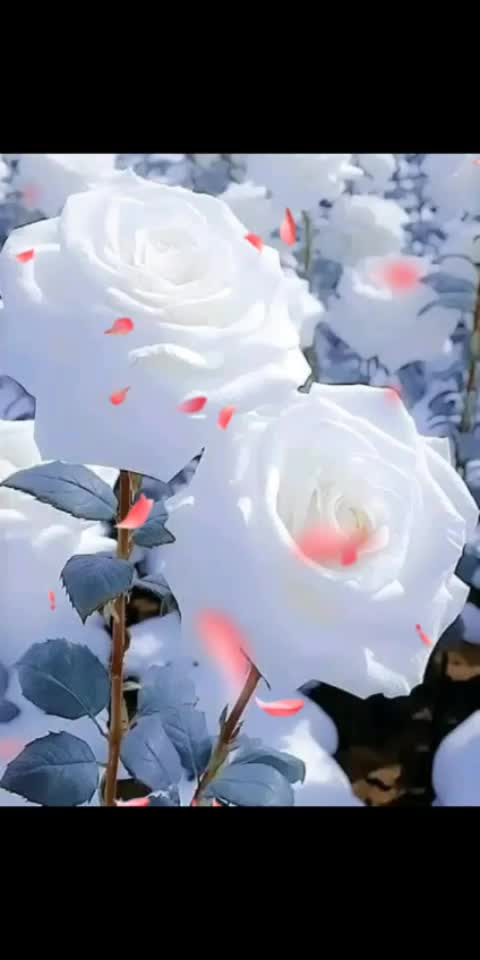 @๐๐ ๐๐๐ ๐๐๐ฃ๐๐๐
