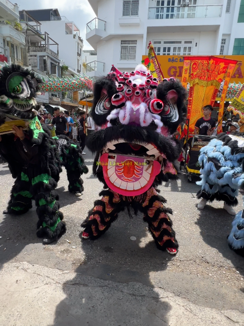 @Múa Lân Việt Nam 🇻🇳
