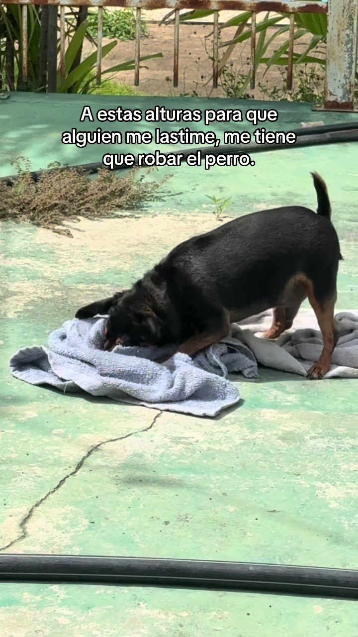 @josecamposa47