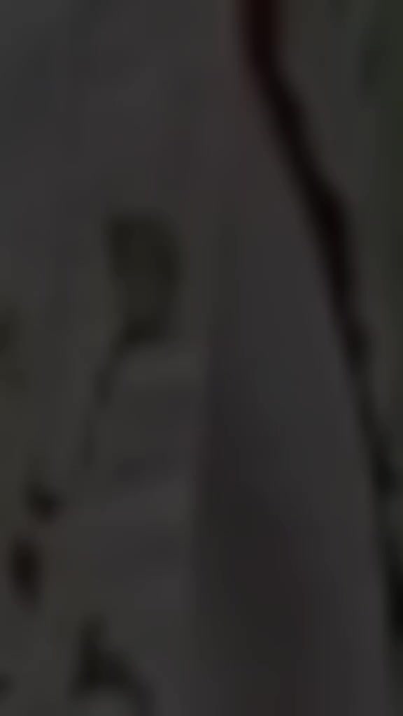 @Ojanamon