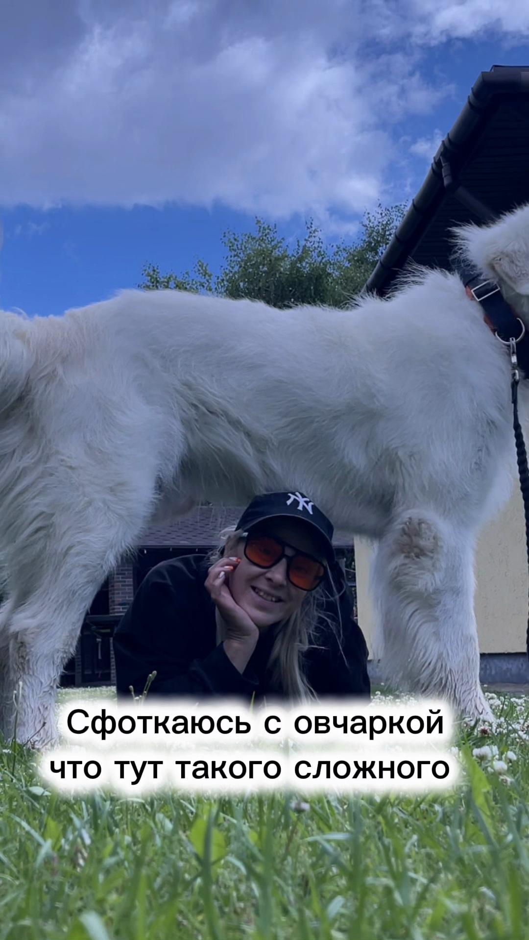 @Зооняня👉Алёна Ващенко