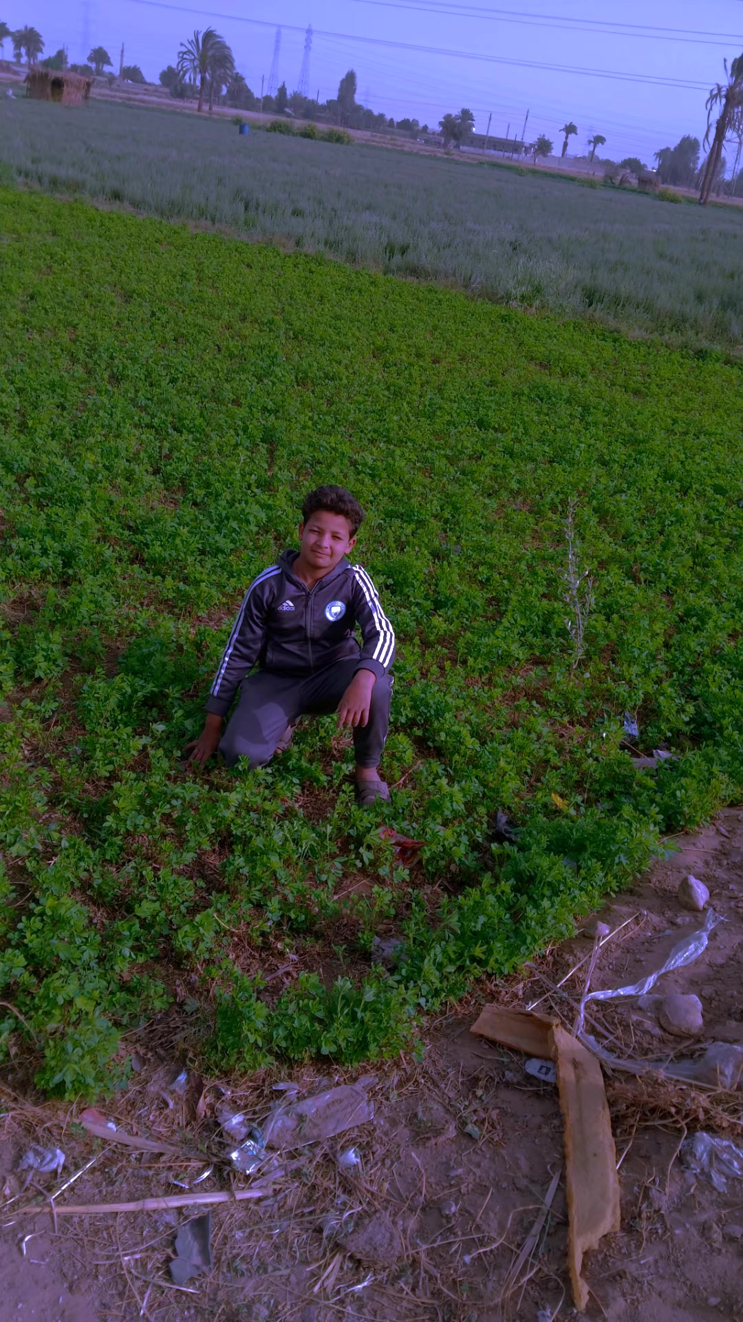@حسين حسن العشري الجازوى