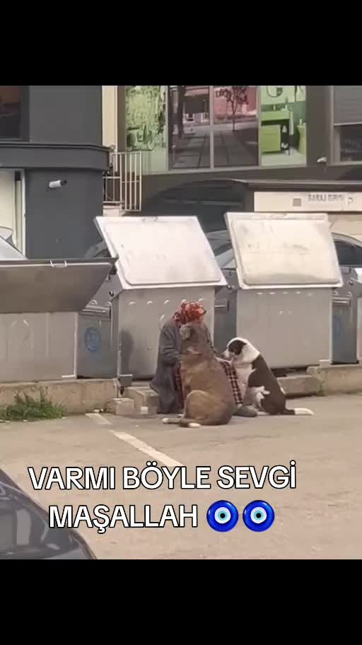 @MUSTAFA38