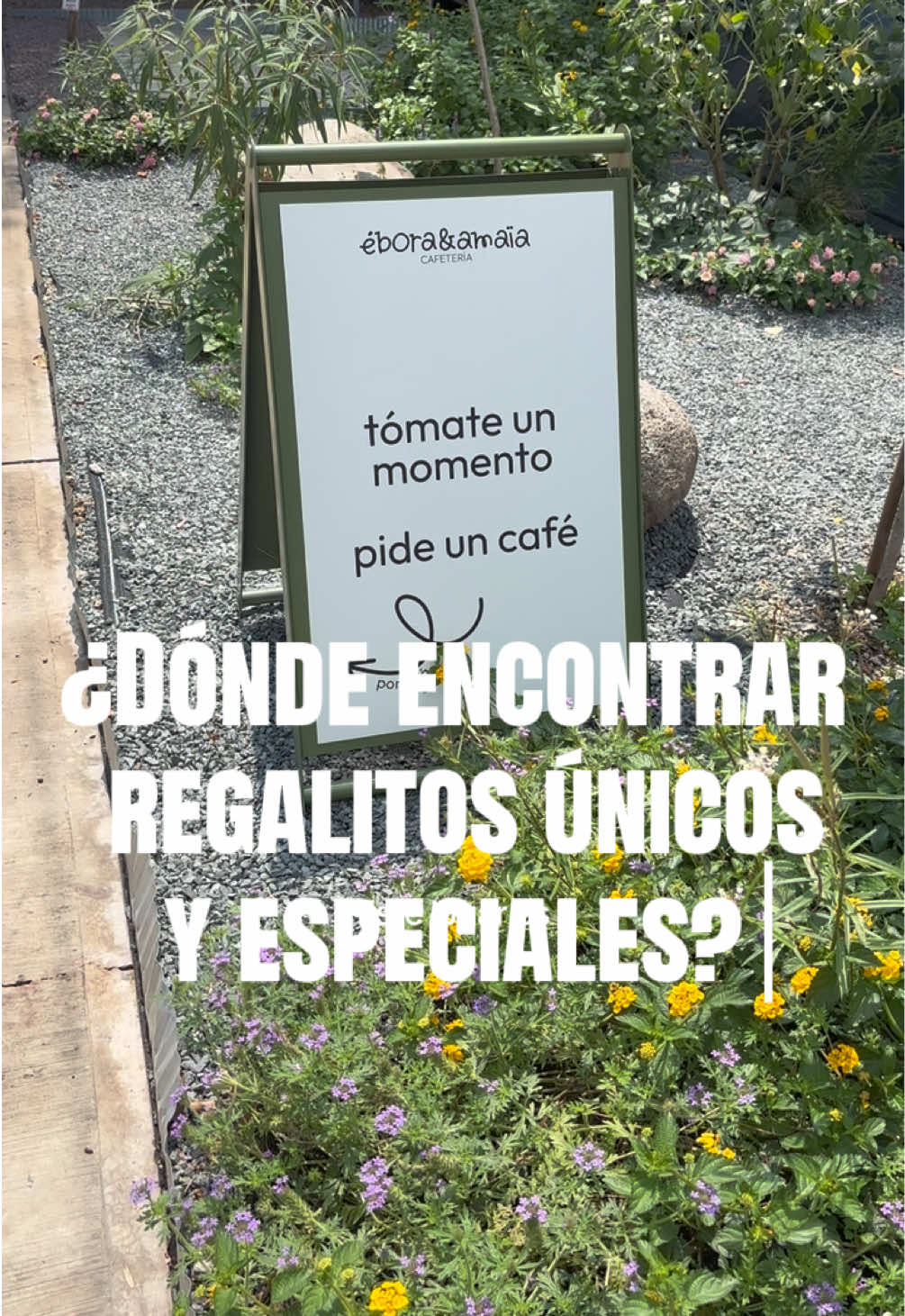 @Siboney Macias