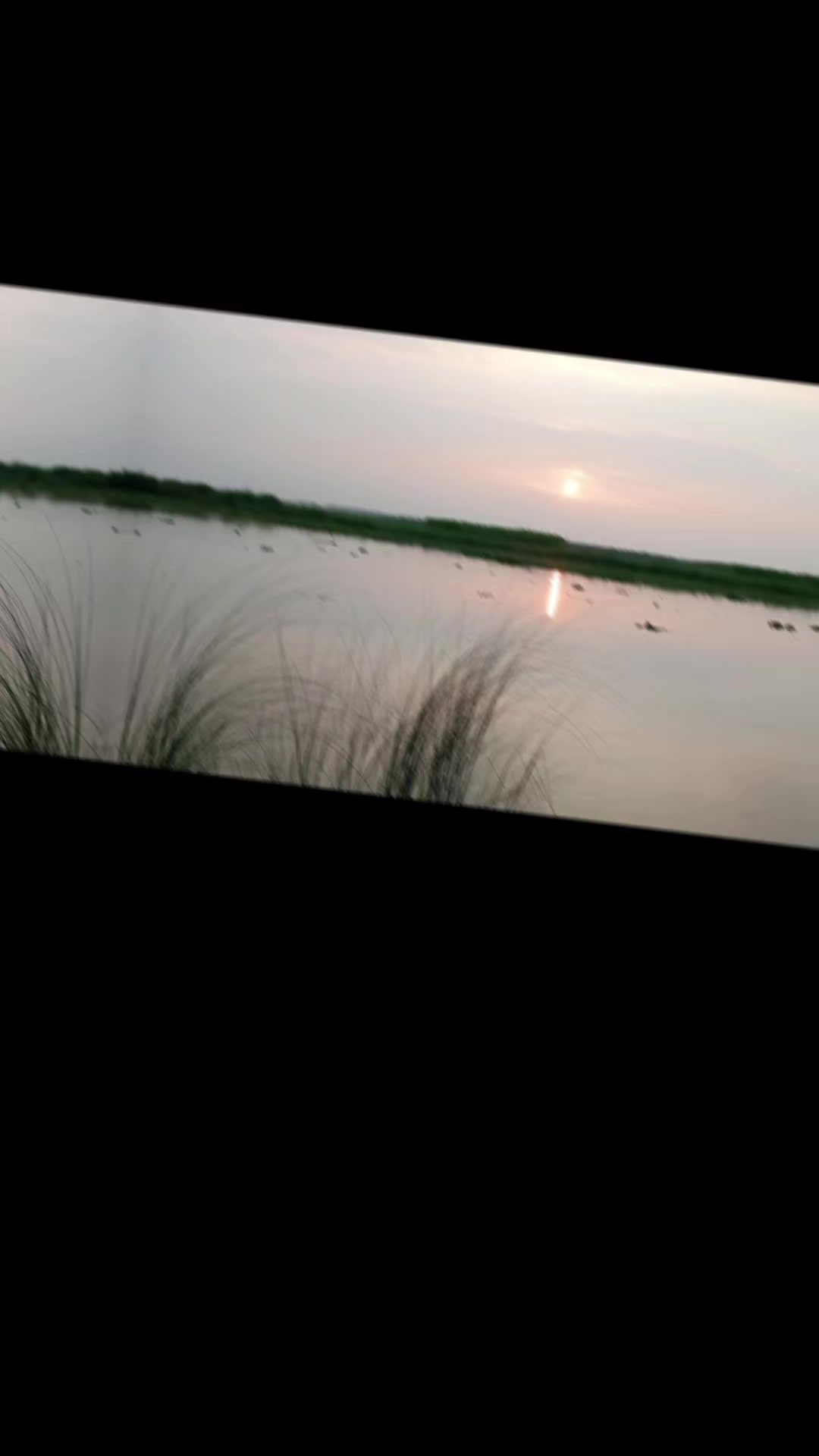 @ইলমা আক্তার