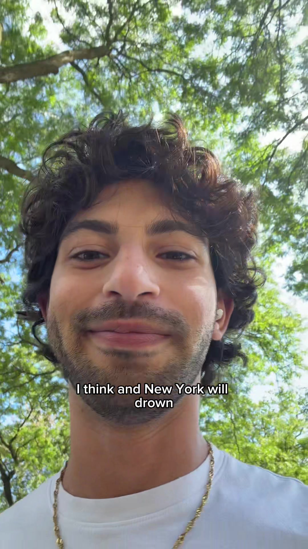 @Omar Saleh