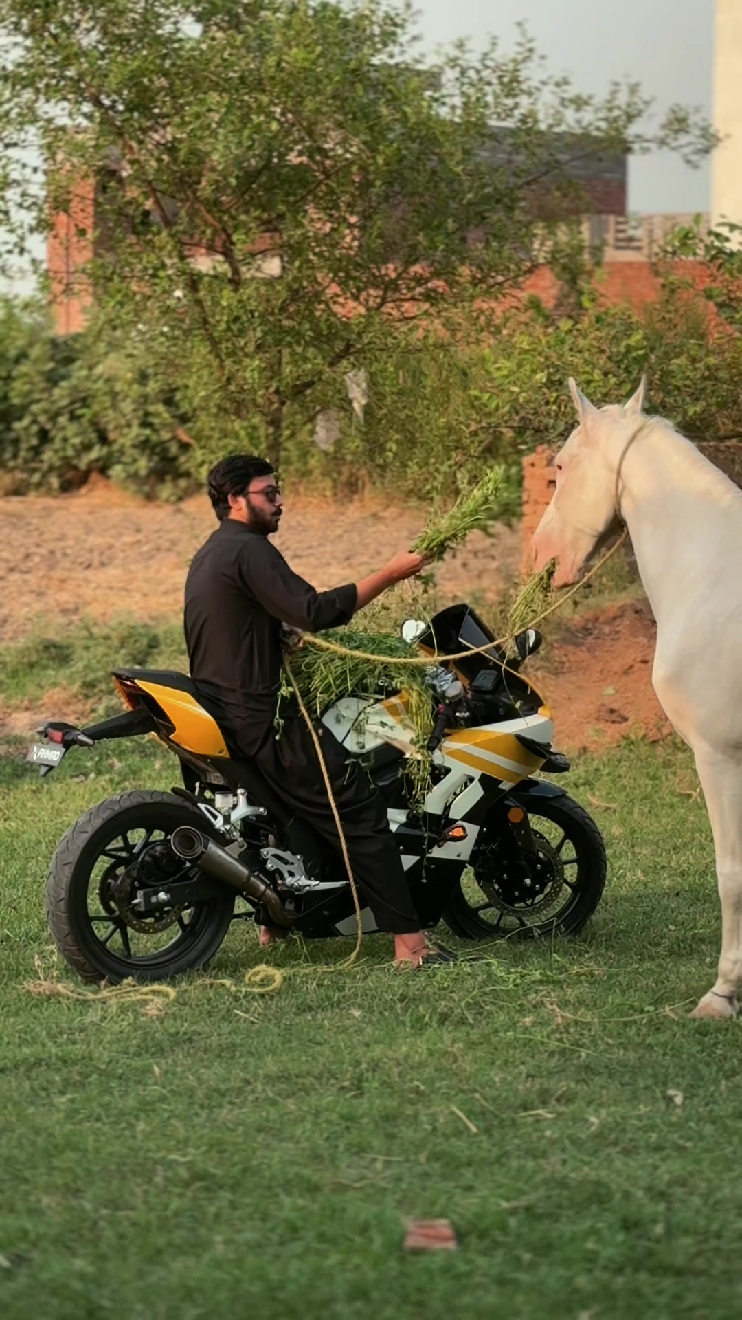 @ملک ابراھیم اعوان⚜️