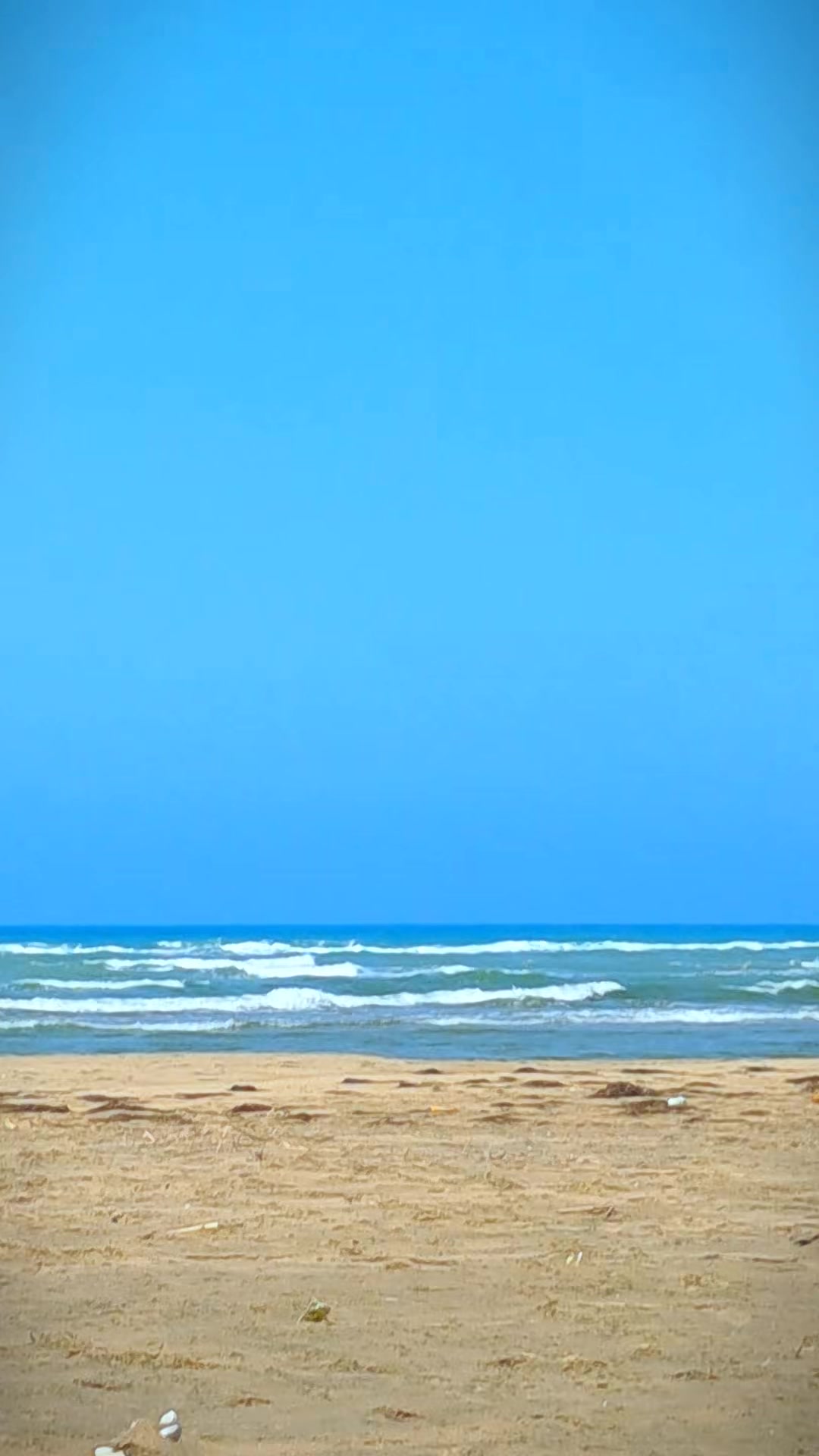 @moussamerzouki