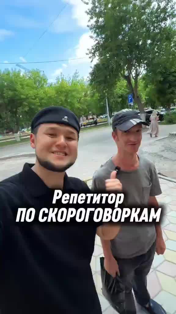 @halyn1501