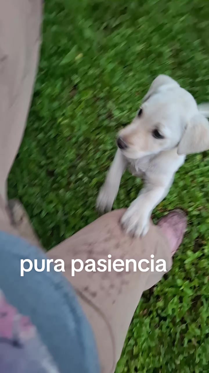 @Evelyn Avila