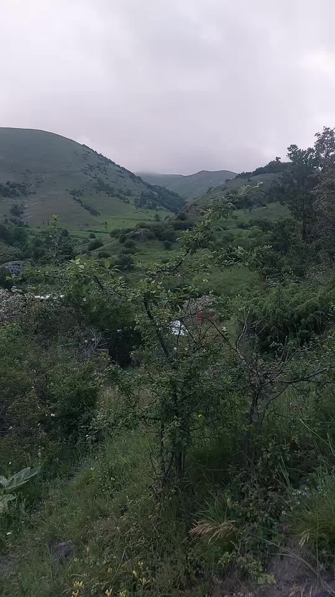 @Mazahir 032