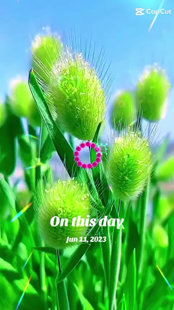 @bijayyadav6949