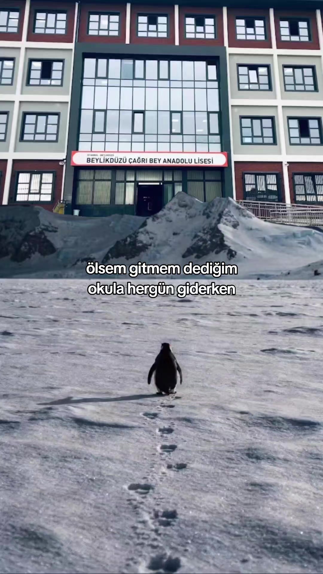 @Çağrıbeyy