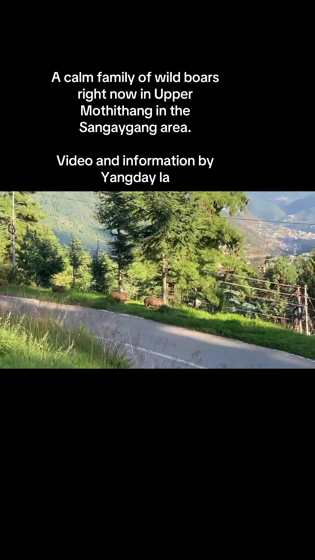 @TheBhutaneseNewspaper
