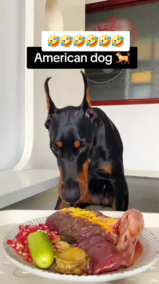 @magongos