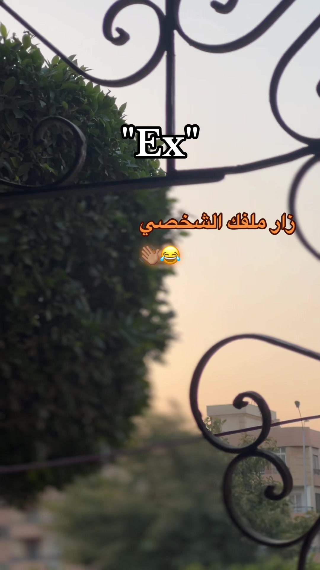 @🔁| يـسـن 🐺
