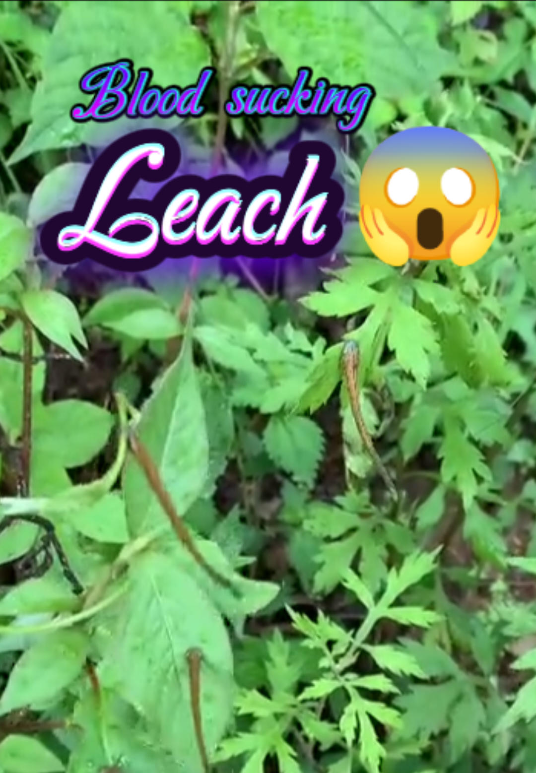 @◦•●◉✿🅙𝖚𝖓𝖎𝖊𝖗🤨𝖇𝖔ʏ✿◉●◦•