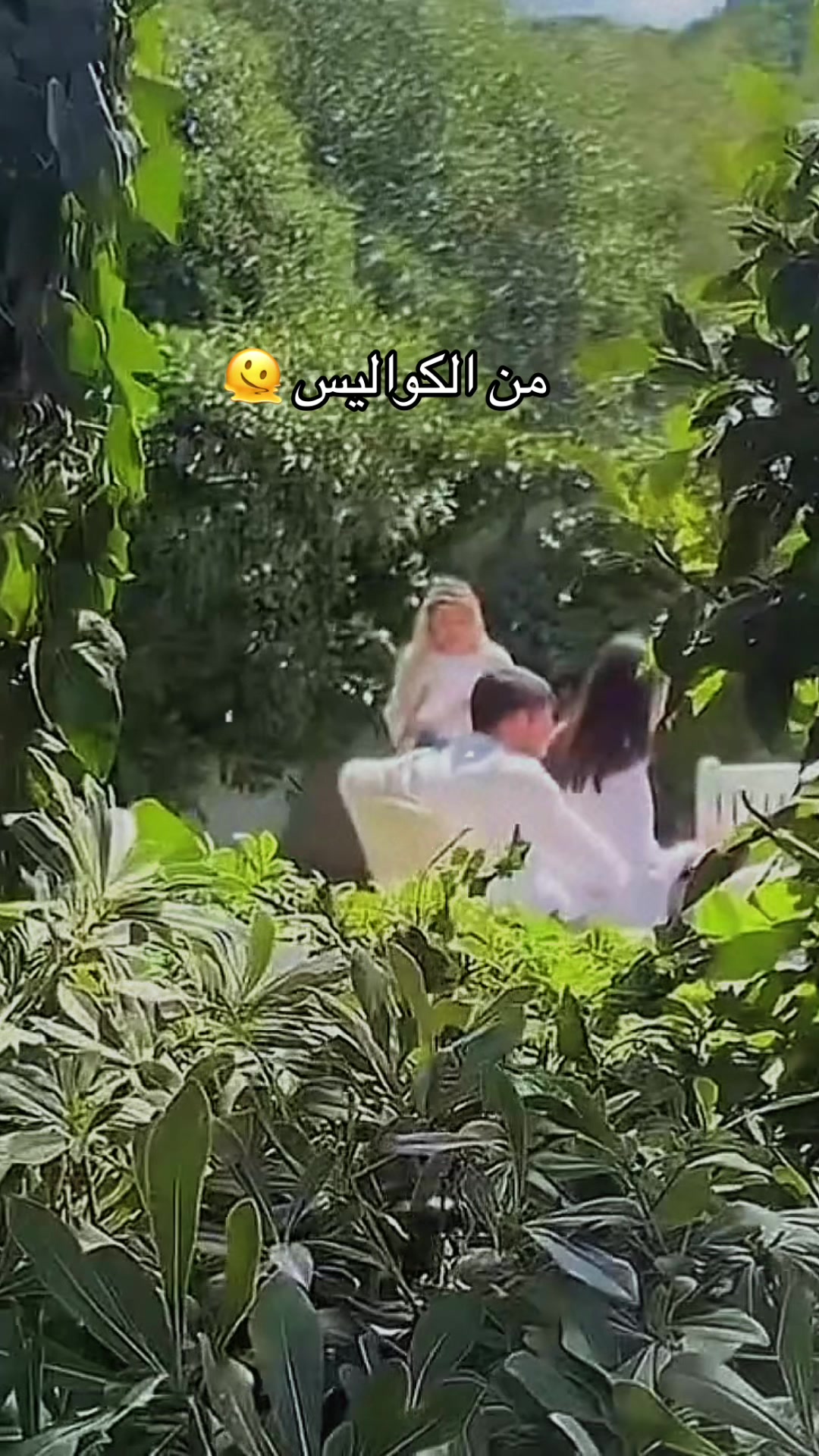 @AYCAAYSINTURANARAB