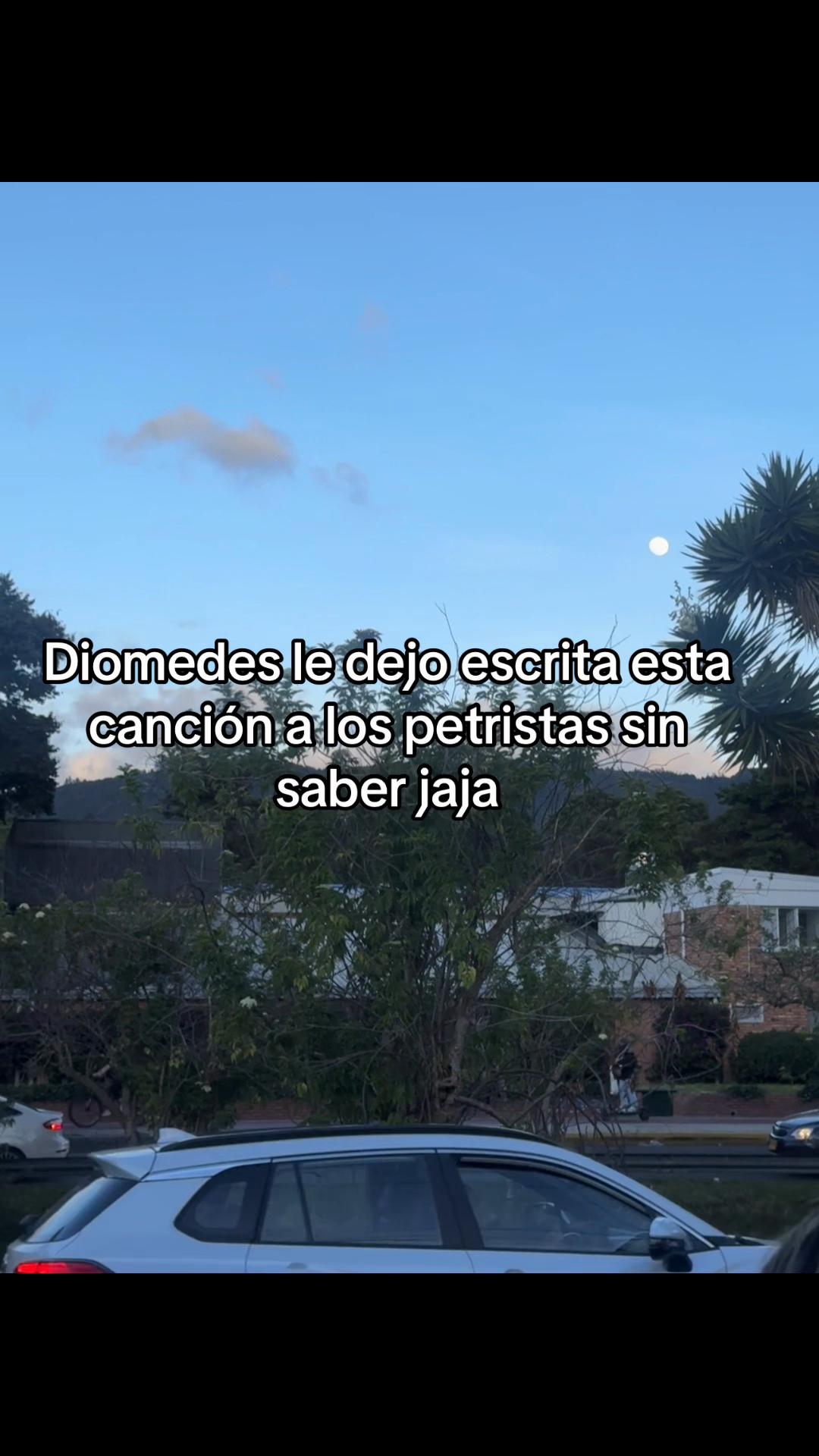 @Daniela Castillo
