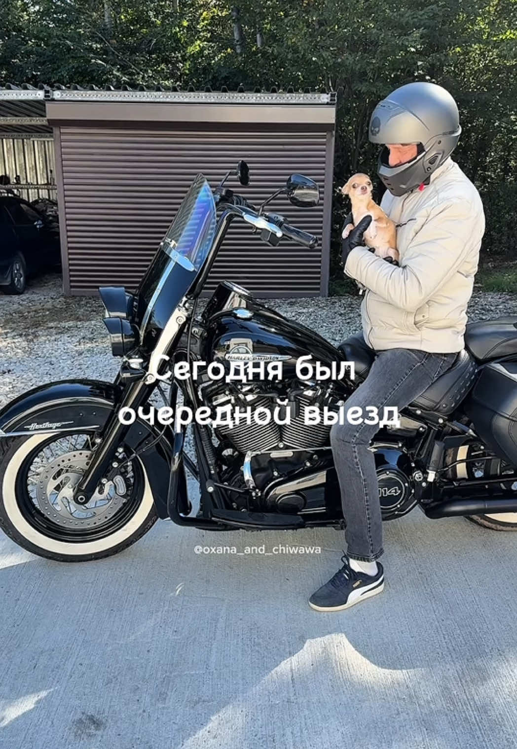 @Оксана & Чихуахуа Бонита